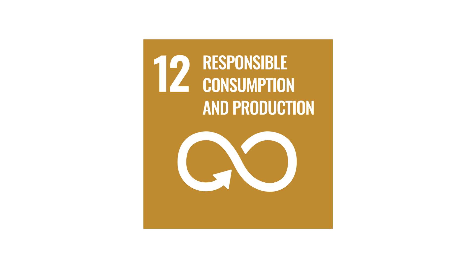 project12_sdgs