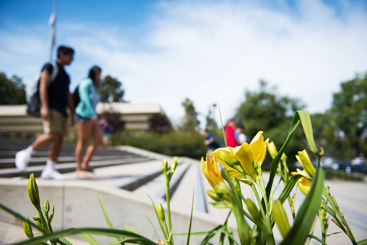 Students walking on campus