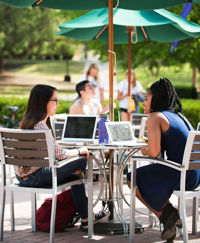 Students studying