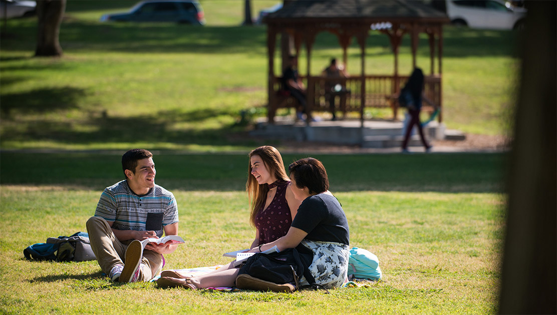 Students talking in park