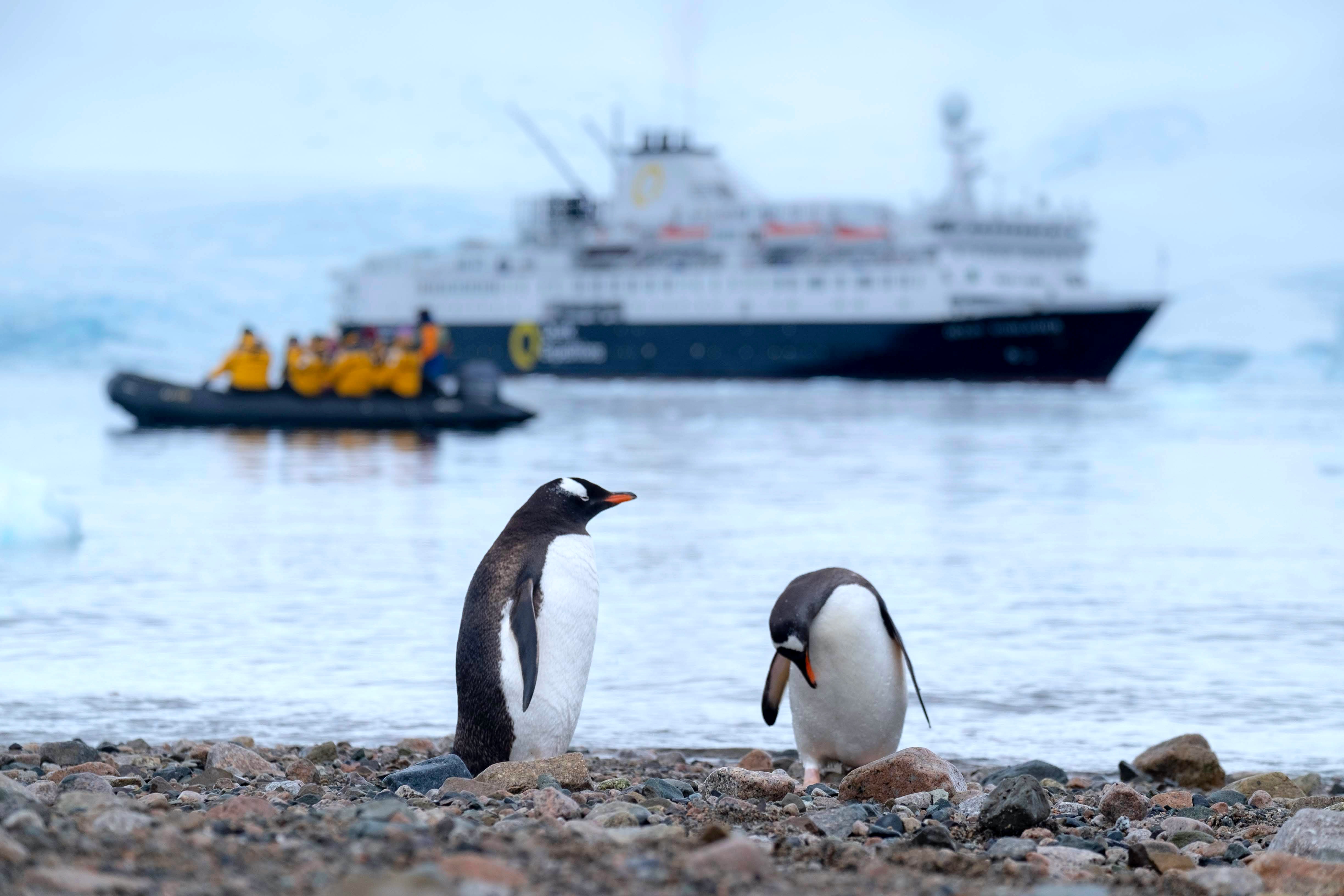 Antarctica