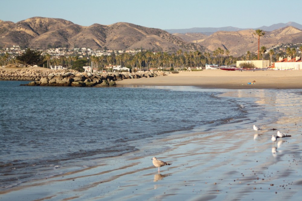 Harbor Cove Beach